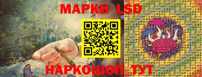 ПСИЛОЦИБИНОВЫЕ ГРИБЫ Владивосток