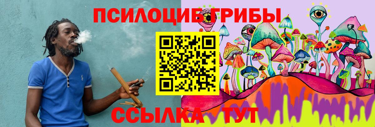 Псилоцибиновые грибы MAGIC MUSHROOMS  Галлюциногенные грибы мицелий  Ростов-на-Дону  Вход с VPN 