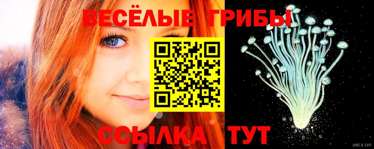 Псилоцибиновые грибы Cubensis  Ростов-на-Дону  Псилоцибиновые грибы Cubensis 