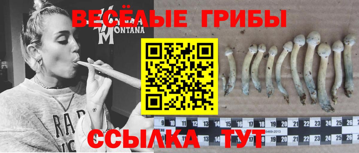 Псилоцибиновые грибы ЛСД Ростов-на-Дону